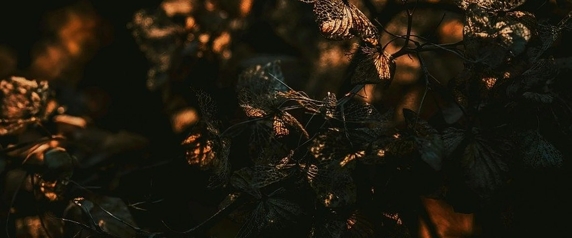 澳门天空彩票PG电子